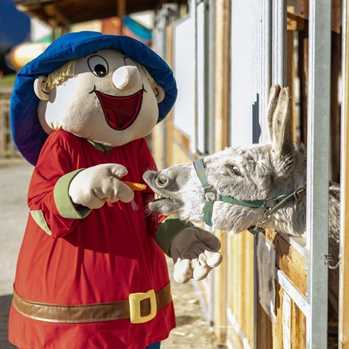 Das Maskottchen des Hotels Ramsi füttert einen Esel, der sich im Stall befindet.